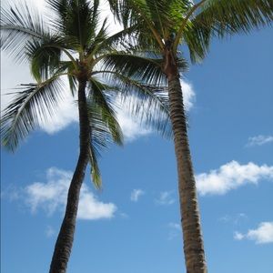 Meet your Posher, Ali